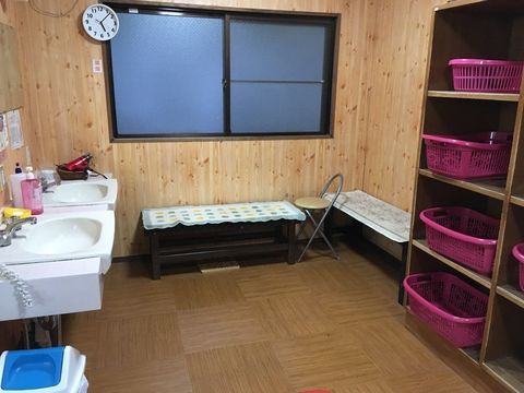 003-spring2019nt (25).jpg