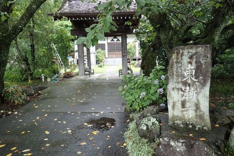 16july2022-izu-24.JPG
