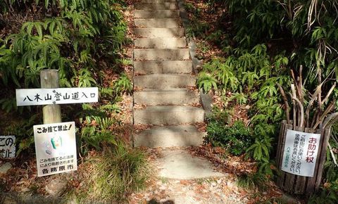 20dec2020-yagiyamakakamihara-05.jpg
