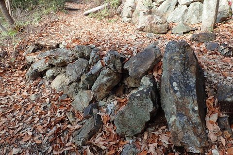20dec2020-yagiyamakakamihara-10.jpg