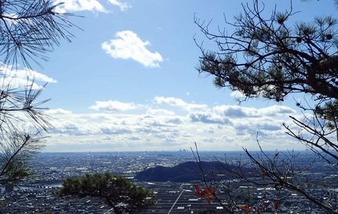 20dec2020-yagiyamakakamihara-18.jpg