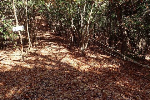 20dec2020-yagiyamakakamihara-22aa.jpg