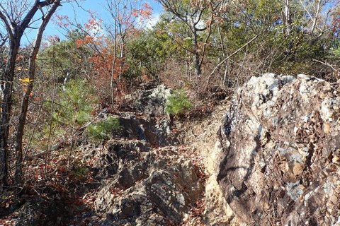 20dec2020-yagiyamakakamihara-25.jpg