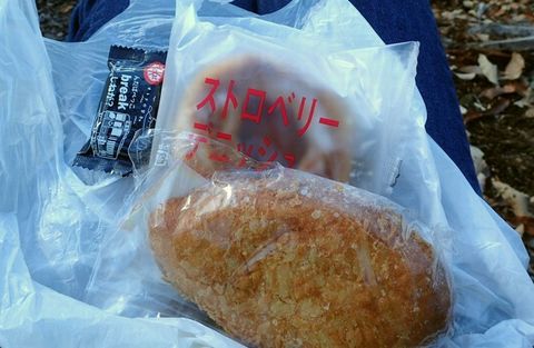20dec2020-yagiyamakakamihara-28.jpg