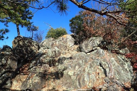 20dec2020-yagiyamakakamihara-36.jpg