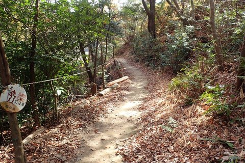 20dec2020-yagiyamakakamihara-38.jpg