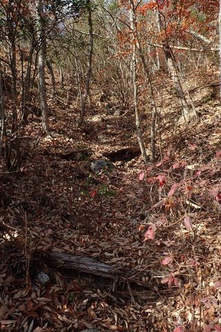 20dec2020-yagiyamakakamihara-41.jpg