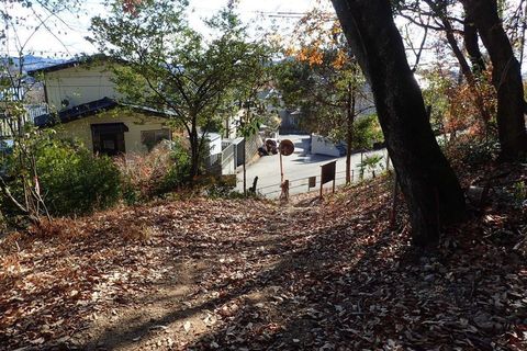 20dec2020-yagiyamakakamihara-44.jpg