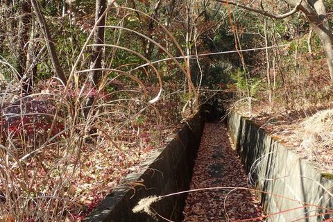 20dec2020-yagiyamakakamihara-45.jpg