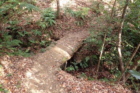 20dec2020-yagiyamakakamihara-50.jpg