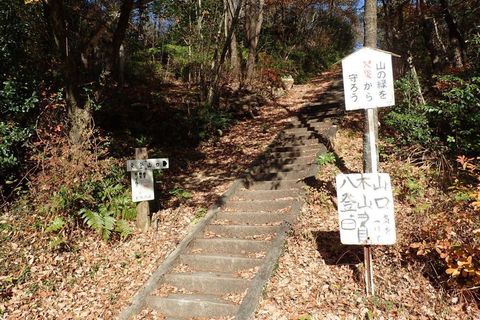 20dec2020-yagiyamakakamihara-51.jpg