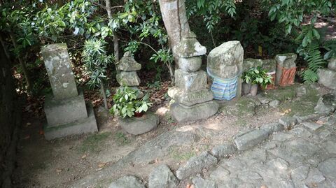 26may2024-yamanobe-43.JPG