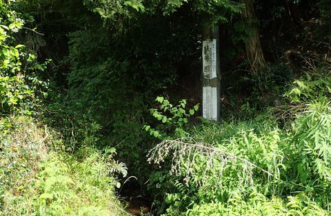 26may2024-yamanobe-49.JPG