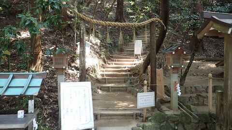 26may2024-yamanobe-51.JPG