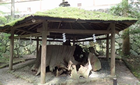 26may2024-yamanobe-55.JPG