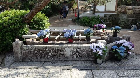 27may2024-47.JPG