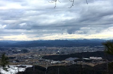 IMG_1084.jpg