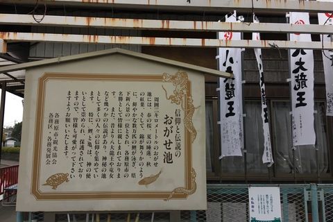 IMG_1785.jpg