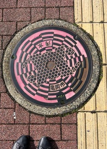 IMG_2203.jpg