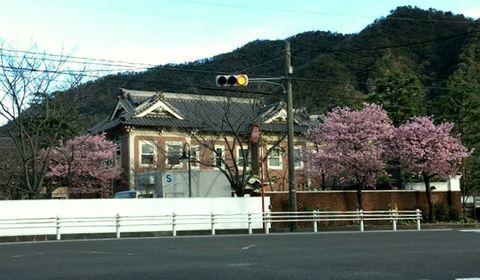 IMG_2548.jpg