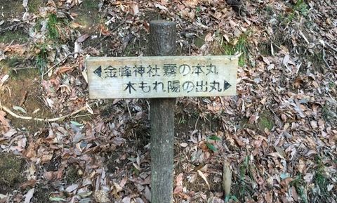 IMG_2974.jpg