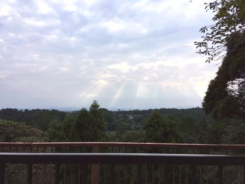 IMG_3337.jpg