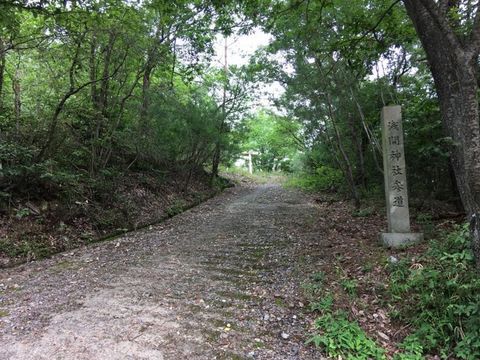 IMG_5055.jpg