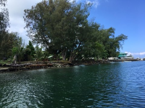 IMG_9154.jpg