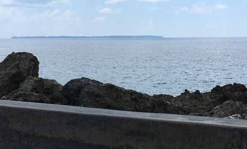 IMG_9222.jpg