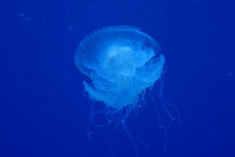 IMG_9362.jpg