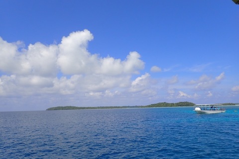 IMG_9423.jpg