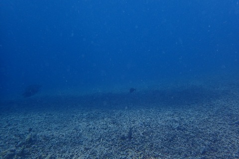 IMG_9426.jpg