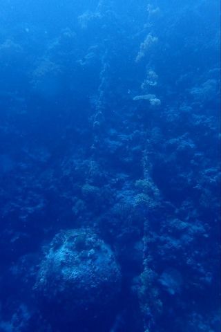IMG_9592.jpg