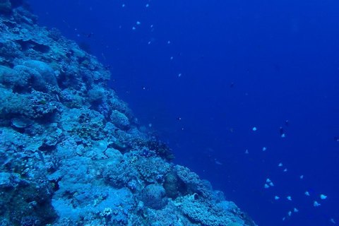 IMG_9643.jpg