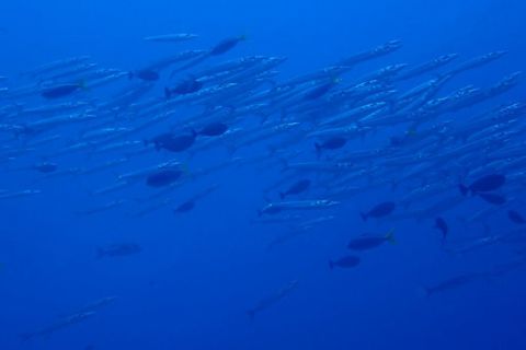 IMG_9665.jpg