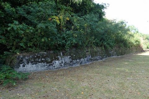 IMG_9718.jpg