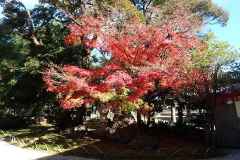 hyogo-shiga_2020nov-03-14.jpg