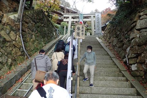 hyogo-shiga_2020nov-03-28.jpg