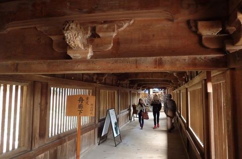 hyogo-shiga_2020nov-03-31.jpg