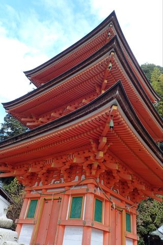 hyogo-shiga_2020nov-03-41.jpg