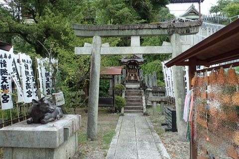 inuyama-aug2020-040.jpg