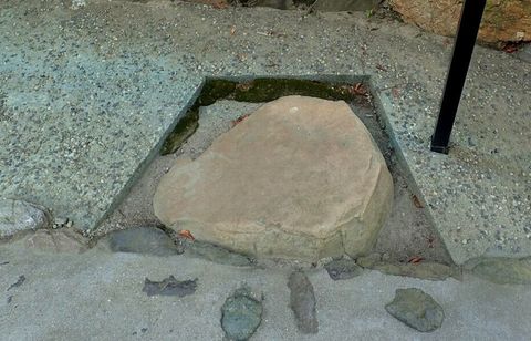 inuyama-aug2020-047.jpg