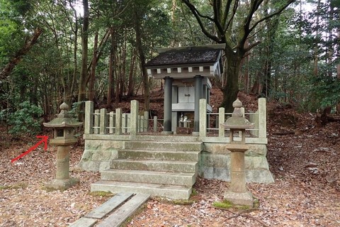 mt-takayasiro-2021jan- (20).jpg