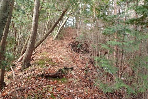 mt-takayasiro-2021jan- (21).jpg