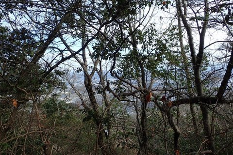 mt-takayasiro-2021jan- (22).jpg