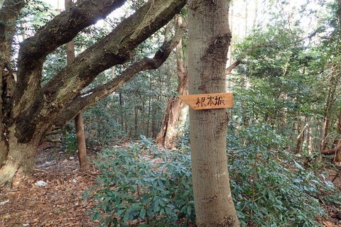 mt-takayasiro-2021jan- (24).jpg