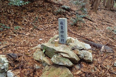 mt-takayasiro-2021jan- (26).jpg