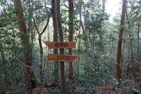 mt-takayasiro-2021jan- (27).jpg