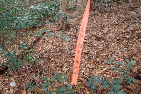 mt-takayasiro-2021jan- (28).jpg
