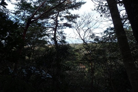 mt-takayasiro-2021jan- (30).jpg